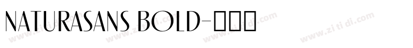 NaturaSans Bold字体转换